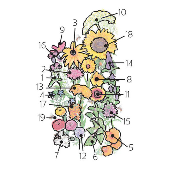 Save the Bees Flower Seed Mix