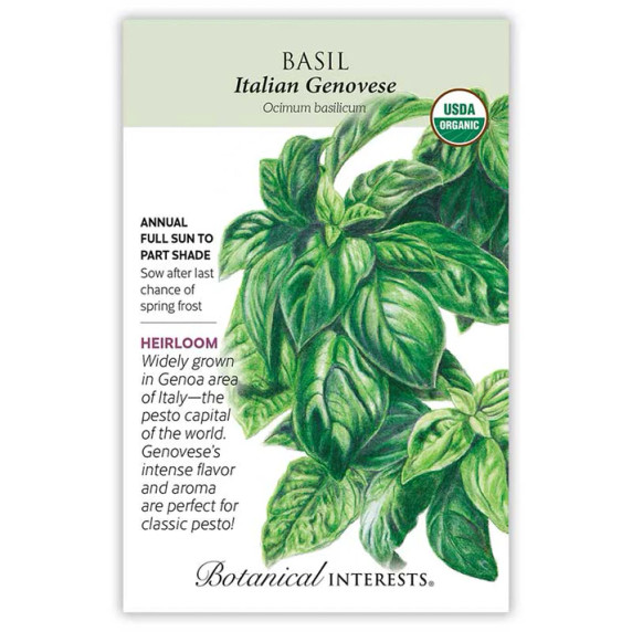 Basil Seeds, Italian Genovese, Organic