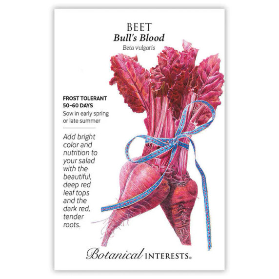 Beet Seeds, Bulls Blood