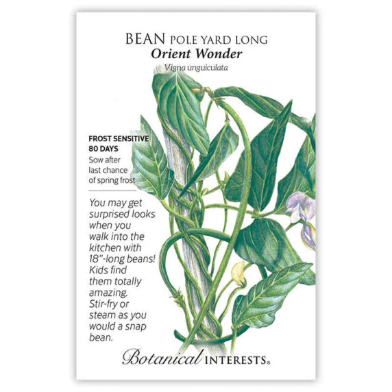 Bean Seeds,  Orient Wonder Yard Long Pole