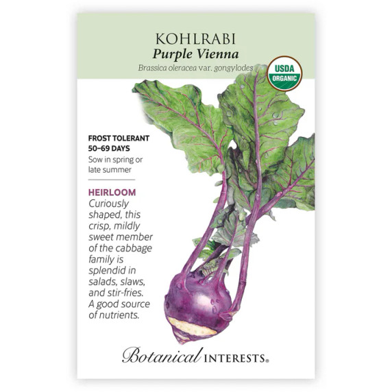 Kohlrabi Seeds, Purple Vienna, Organic
