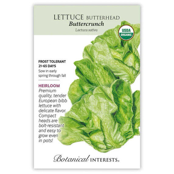 Lettuce Seeds, Butterhead Buttercrunch, Organic