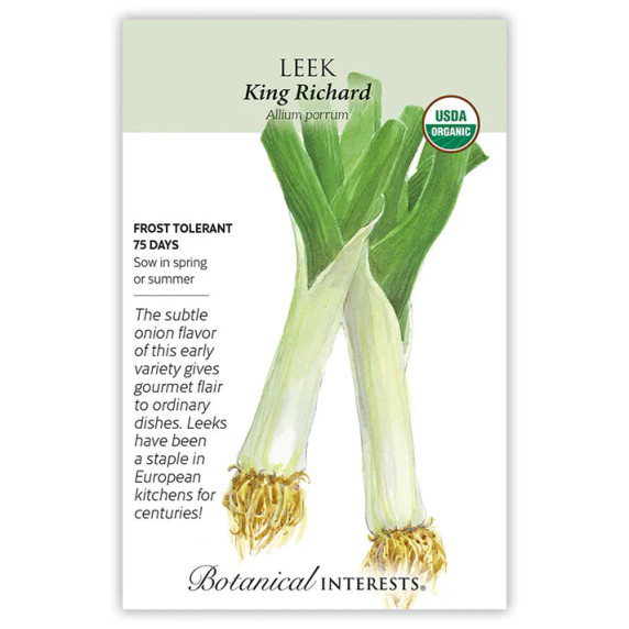 Leek Seeds, King Richard, Organic