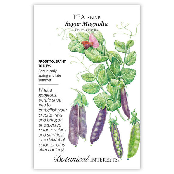 Pea Seeds, Sugar Magnolia Snap
