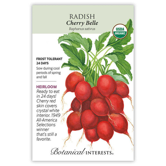Radish Seeds, Cherry Belle