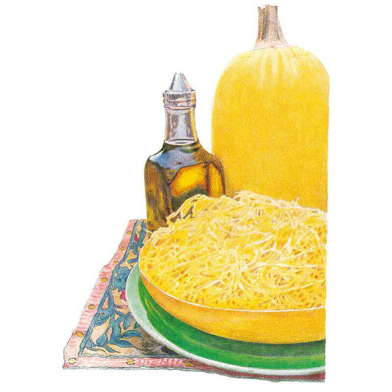 Squash Seeds, Spaghetti Winter, Organic