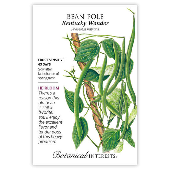Bean Seeds, Kentucky Wonder, Pole