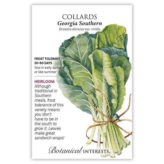 Collards Seeds,  Georgia Southern