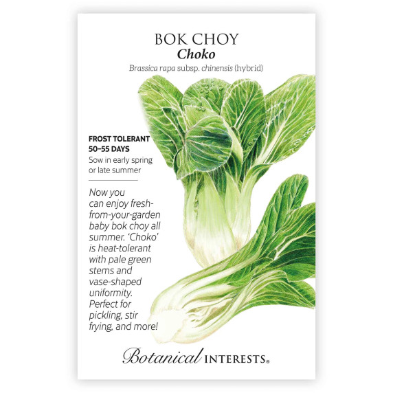 Bok Choy Seeds,  Choko Hybrid