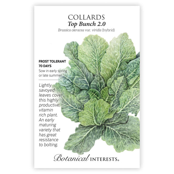 Collards Seeds, Top Bunch 2.0