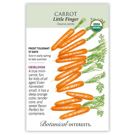 Carrot Seeds,  Little Finger, Organic