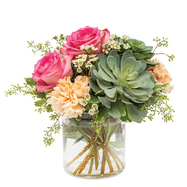 Superb Succulent arrangement