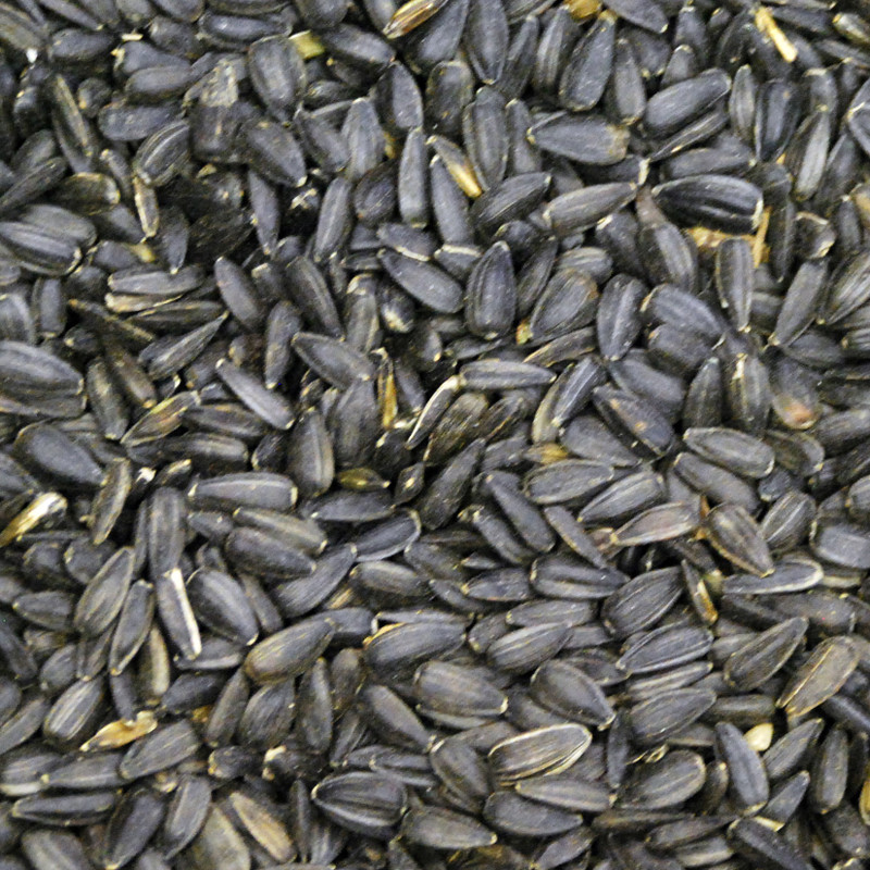 Black Oil Sunflower Seed 25 lb.
