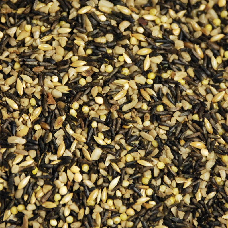 America's Favorite Finch's Feast Wild Bird Feed 10 lb.