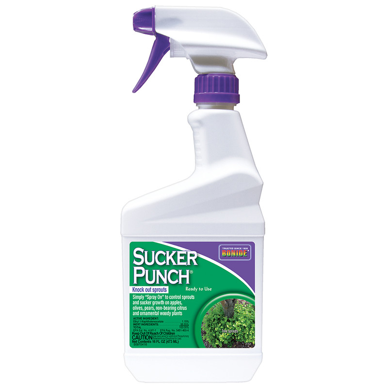 Bonide 16 oz Sucker Punch® Ready-To-Use