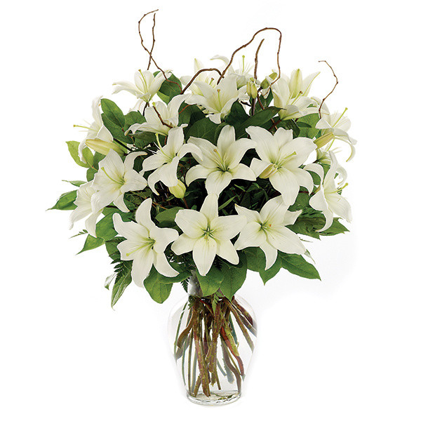 Loving Lilies