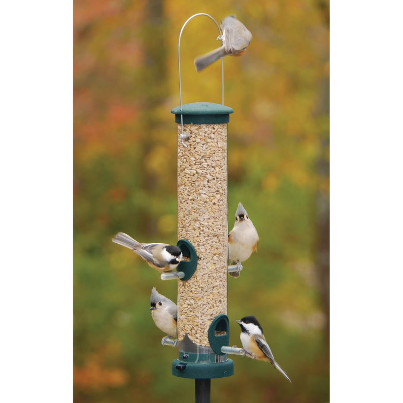 Aspects Medium Spruce Green Quick Clean Bird Feeder