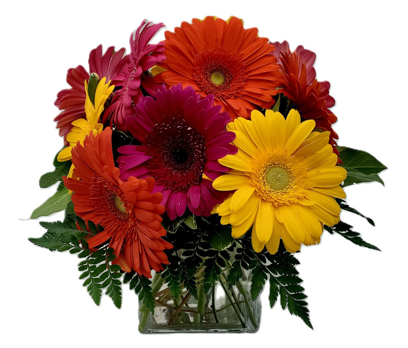 Gerbera Fields bouquet