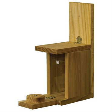 Stovall Squirrel Peanut Feeder