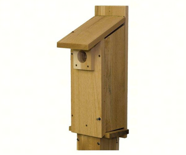 Stovall Woodpecker House