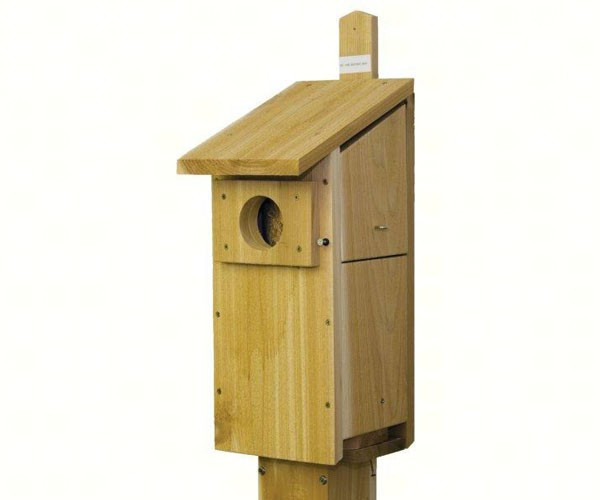 Stovall Screech Owl/Kestrel House