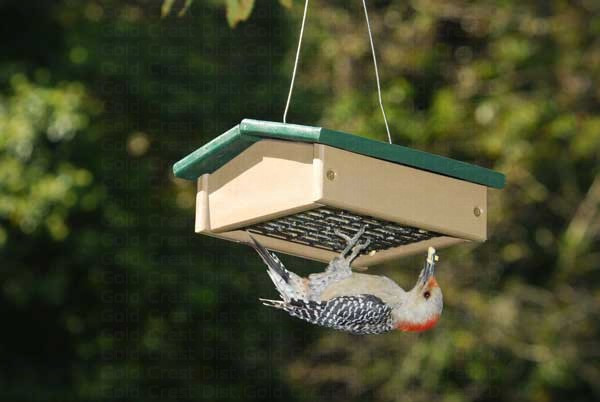 Small Upside Down Suet Feeder