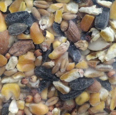 Wildlife Formula 10 Pounds