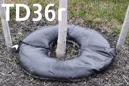 36" Tree Diaper Round