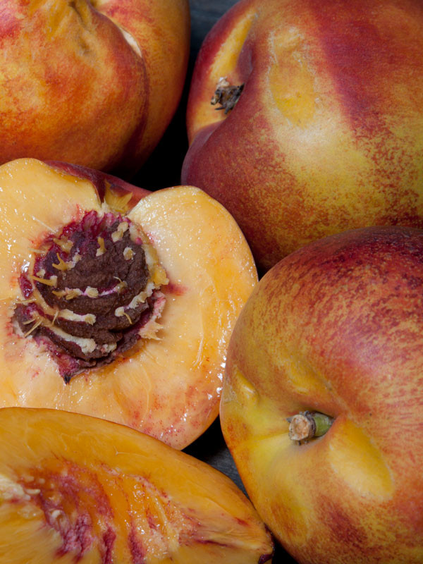 Flavortop Nectarine Tree