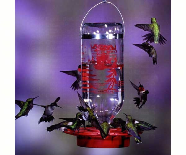Best-1 ® 32 oz. Feeder