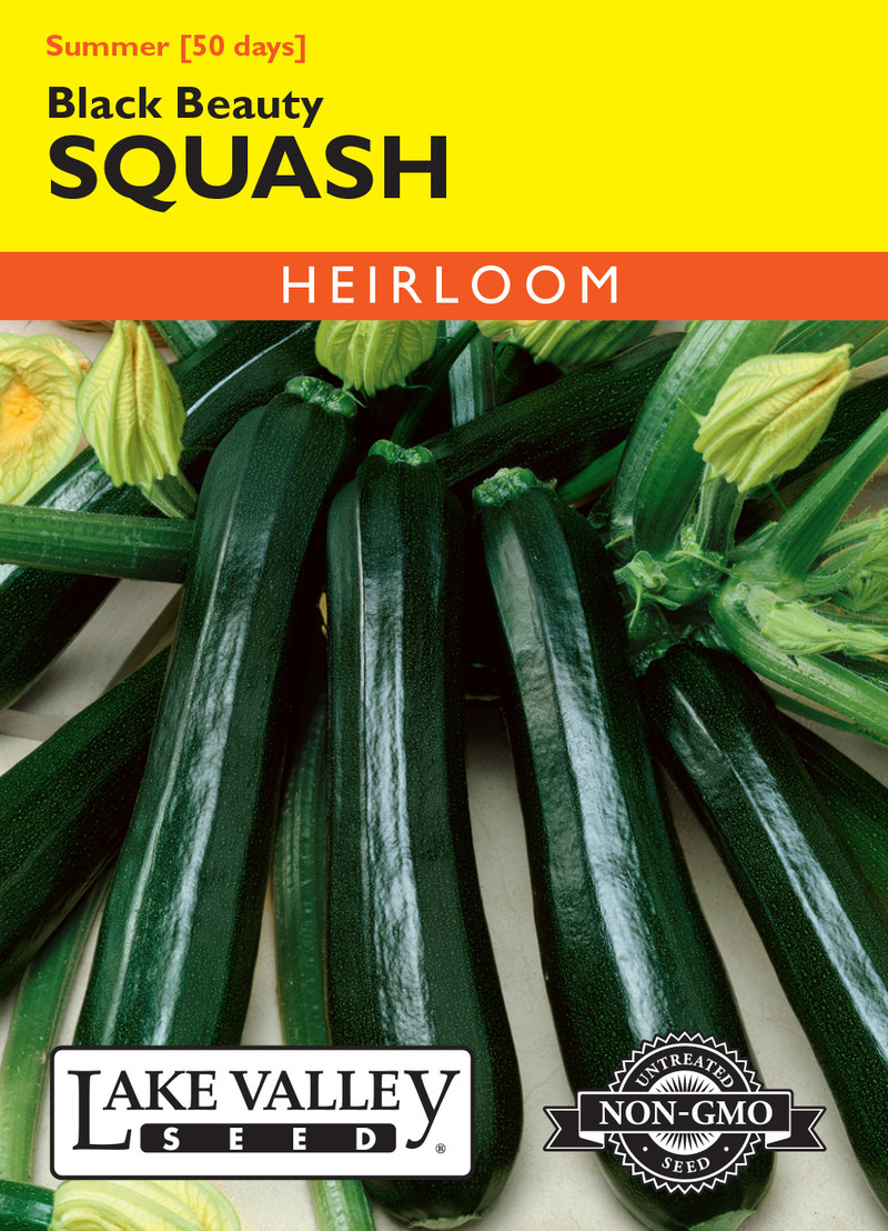 SQUASH BLACK BEAUTY ORGANIC