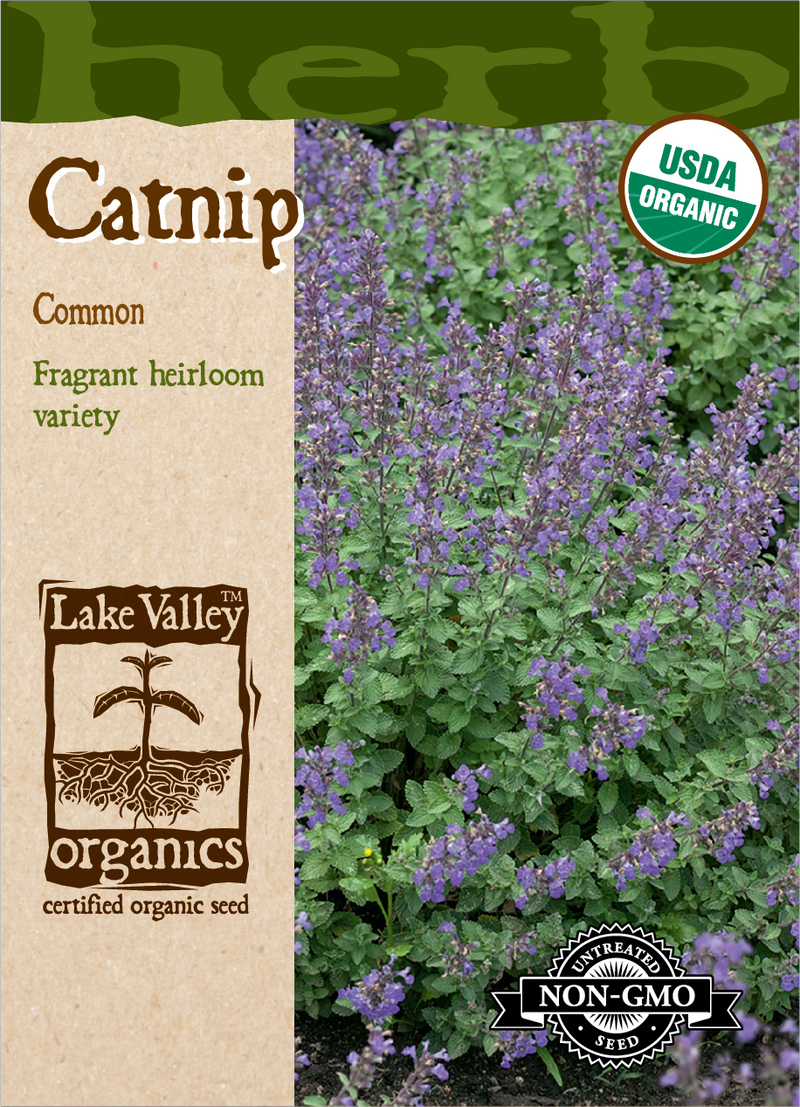Catnip Common Organic