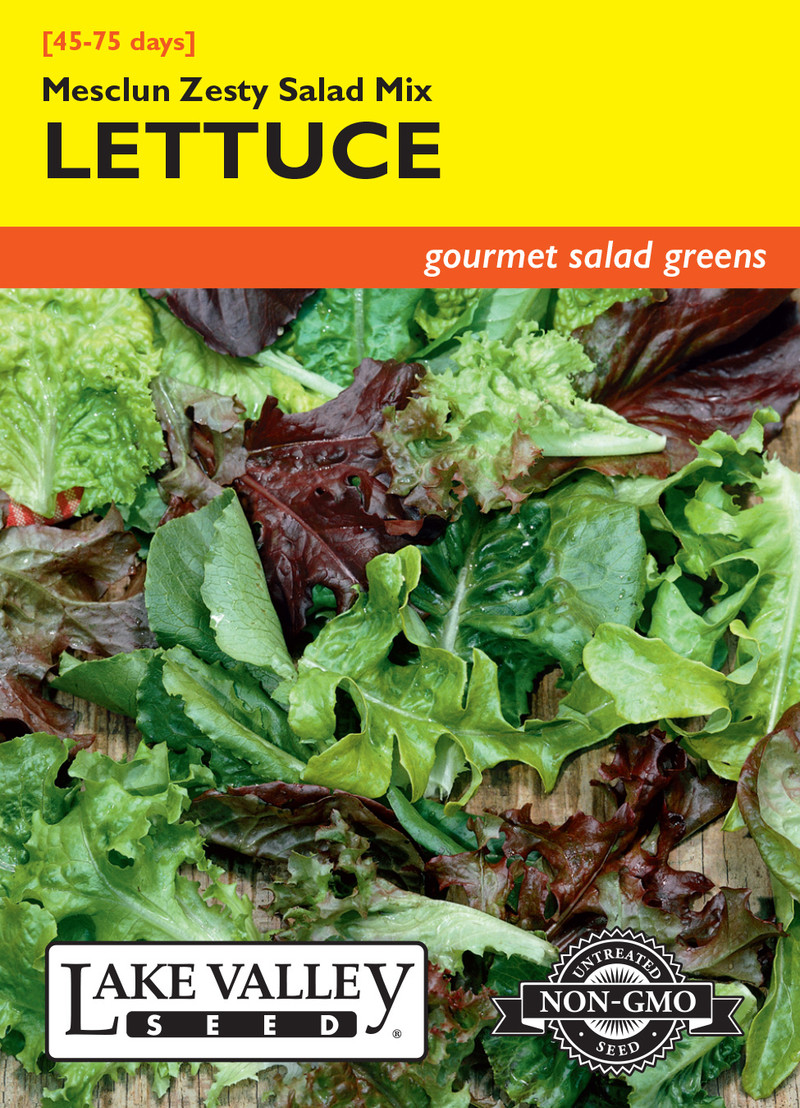 LETTUCE MESCLUN ZESTY ORGANIC