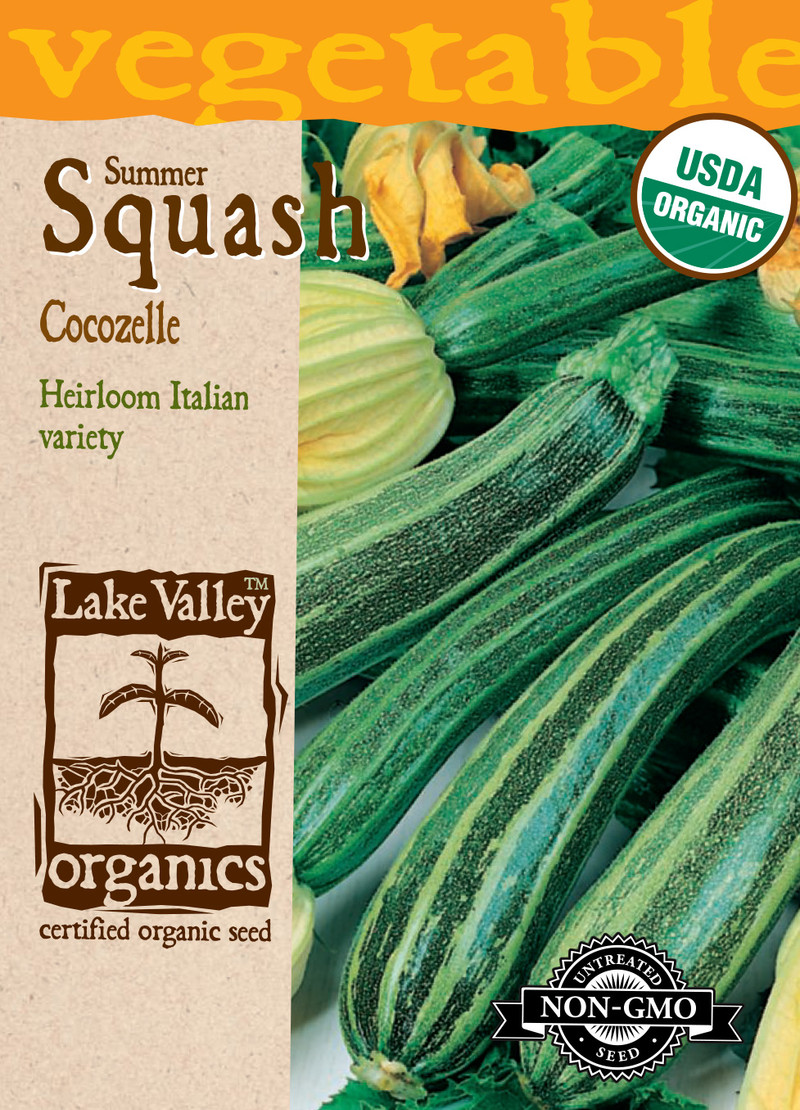 Squash (Summer) Cocozelle Organic