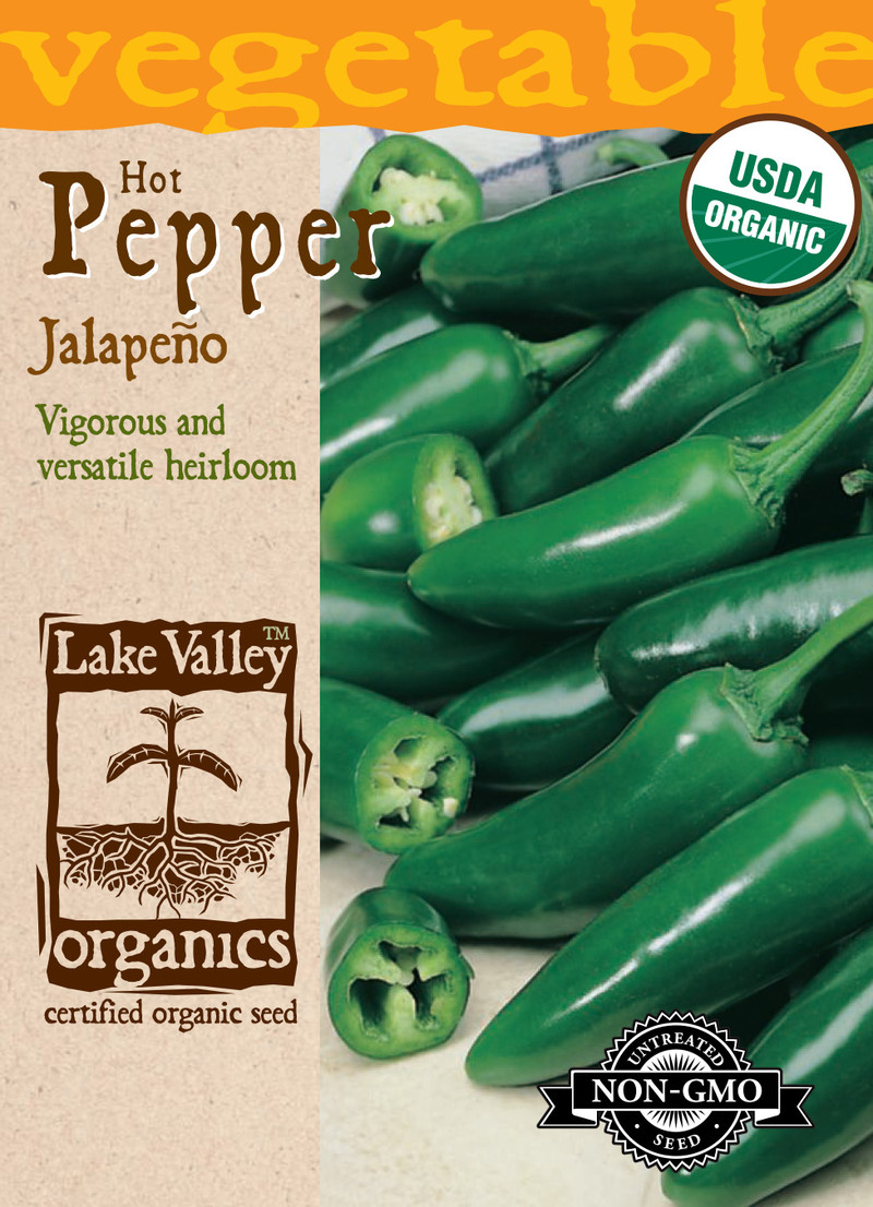 Pepper Jalapeno Organic