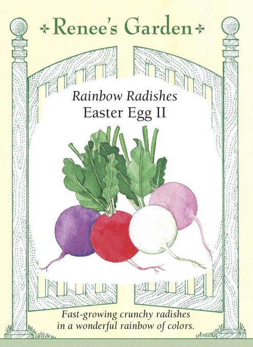 Radish Rainbow Easter Egg 2