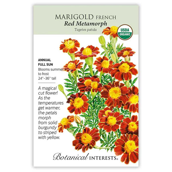 Marigold Seeds, Red Metamorph