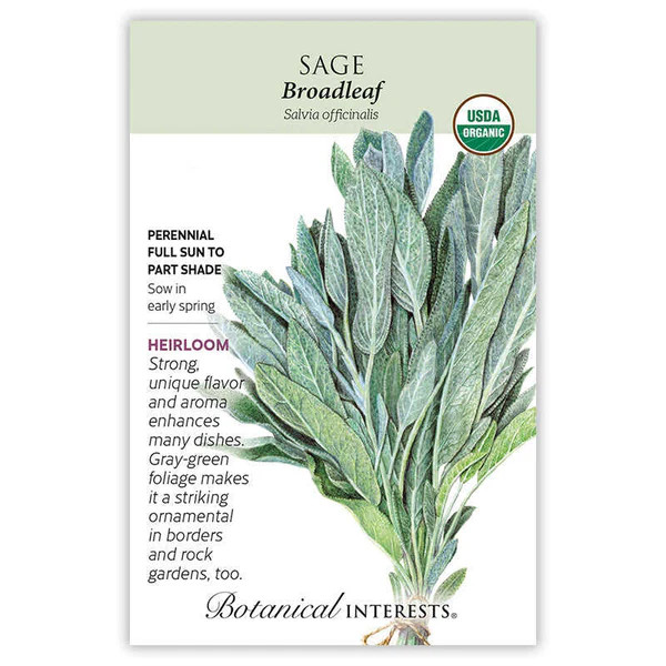 Broadleaf Sage Seeds, Organic