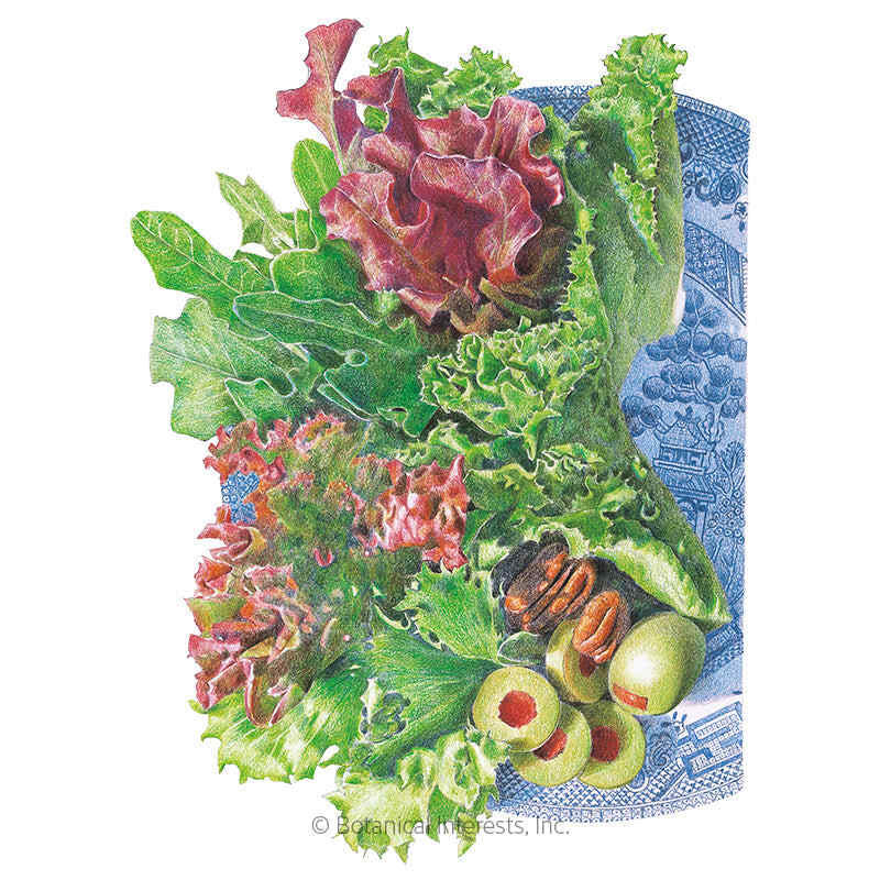 Lettuce Seeds, Farmer's Market Blend