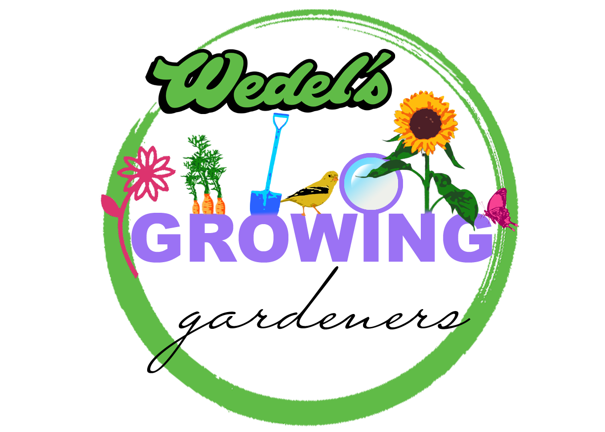 Wedel's Growing Gardeners