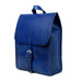 Dust Capri Aged Leather Backpack