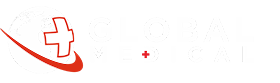 Global Medical Logo