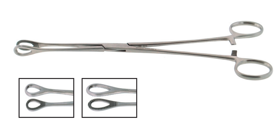BR Surgical BR16-17025 Foerster Forcep Serrated Straight 9.5 Inches