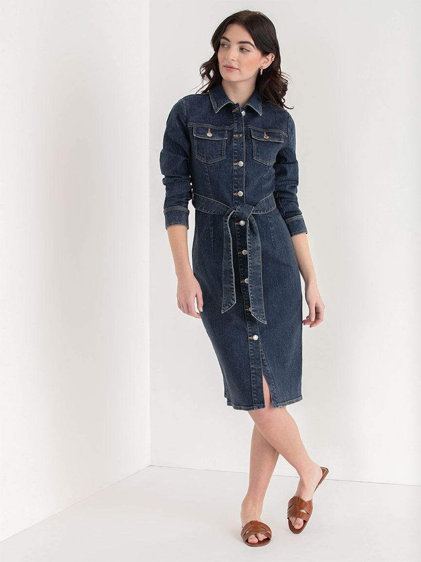 Long Sleeve Denim Midi Dress | Rickis