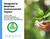 Compatible Toner for Sharp MX312NT, MX-M260, MX-M264N, MX-M310, MX-M314N, MX-M354N Black