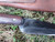 Small french type B boucheron style trade knife with cherry handle