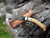 Blunt tip patch knife with pewter bolster and antler handle