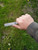 Blunt tip patch knife with pewter bolster and antler handle