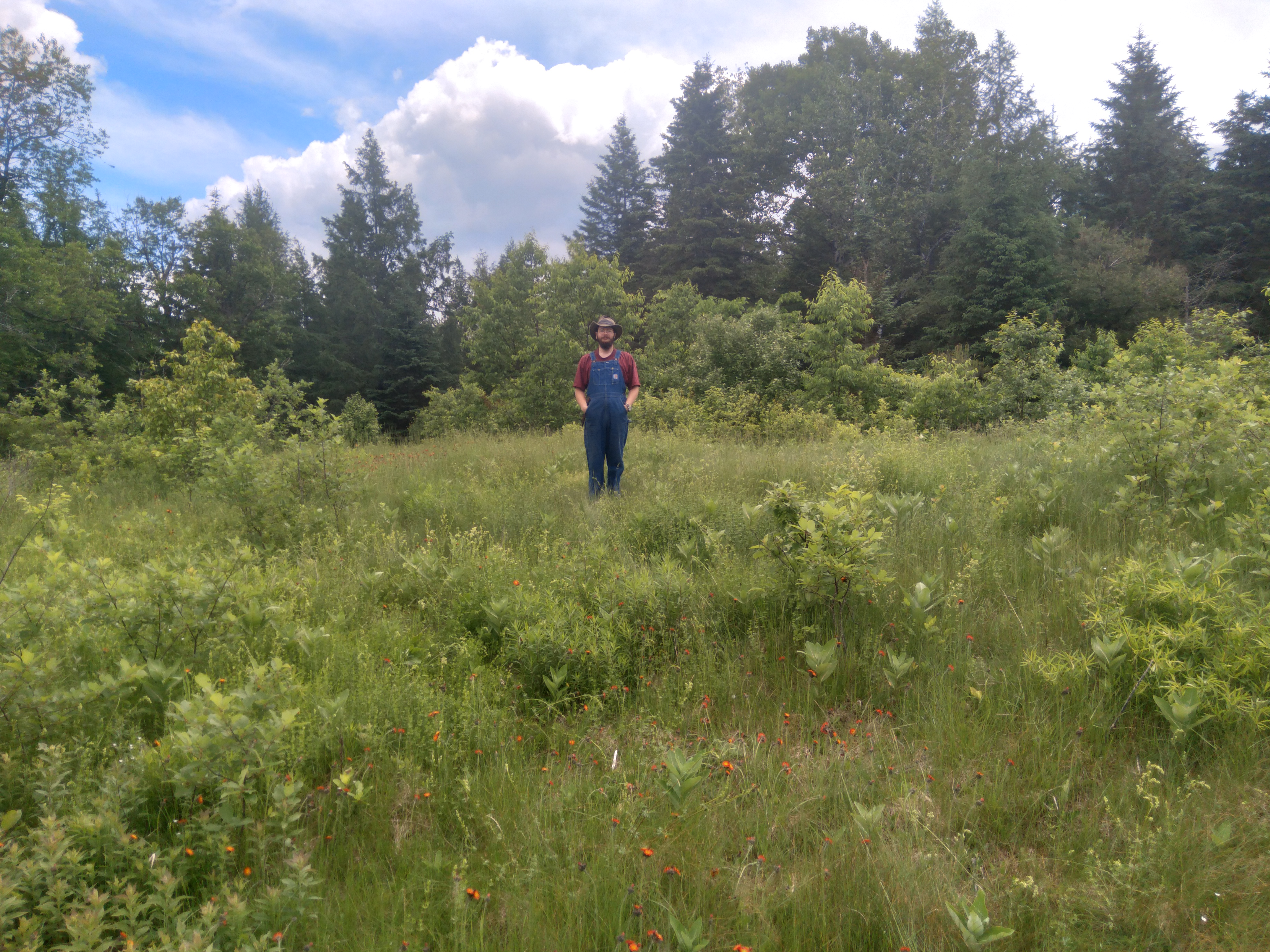 joe-a-craftsman-out-standing-in-his-feild.jpg