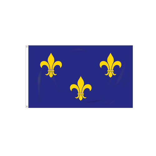 Fleur-De-Lis (Blue-3) Flag
